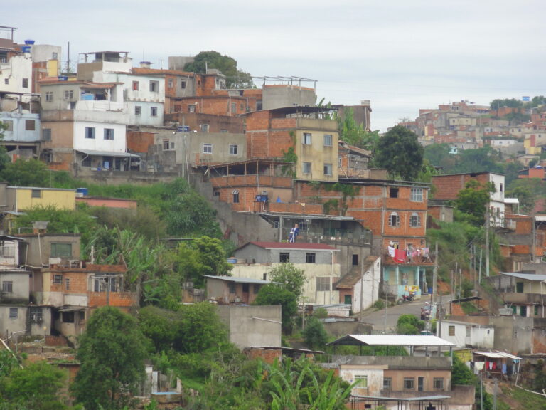 O ornitorrinco e o Bacurau: reflexões sobre o Brasil como periferia do capital